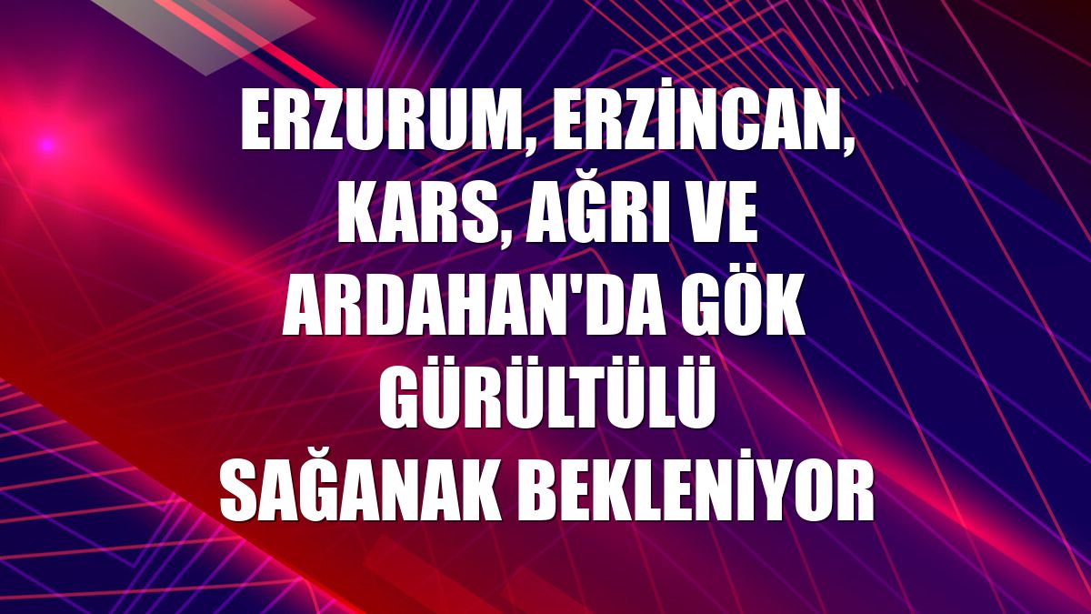 Erzurum, Erzincan, Kars, Ağrı ve Ardahan'da gök gürültülü sağanak bekleniyor