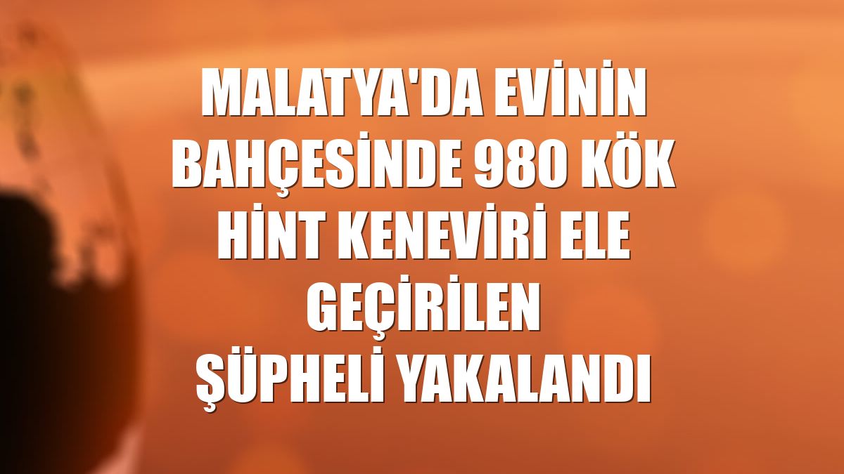 Malatya'da evinin bahçesinde 980 kök Hint keneviri ele geçirilen şüpheli yakalandı
