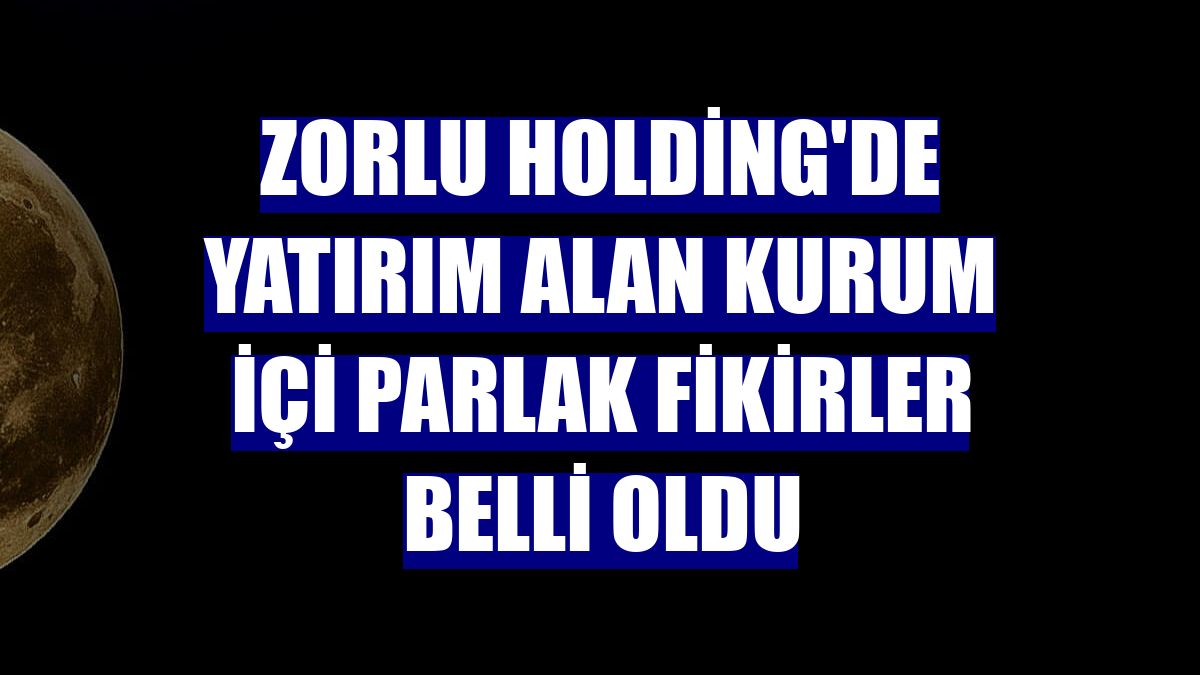 Zorlu Holding'de yatırım alan kurum içi parlak fikirler belli oldu