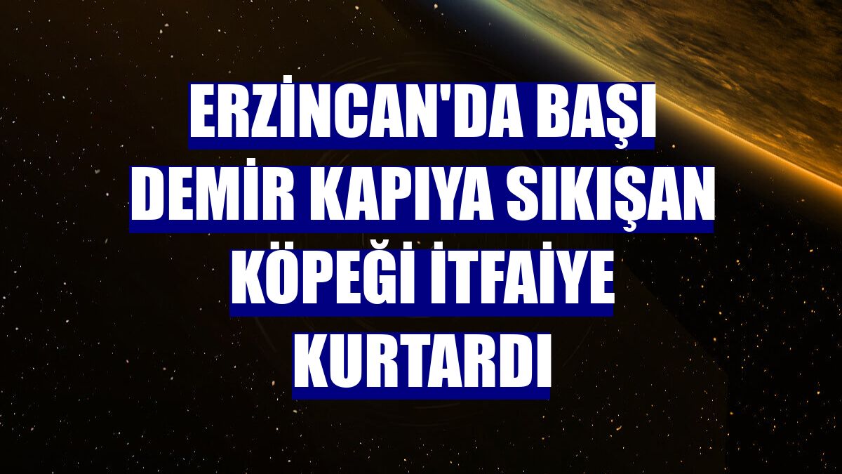 Erzincan'da başı demir kapıya sıkışan köpeği itfaiye kurtardı