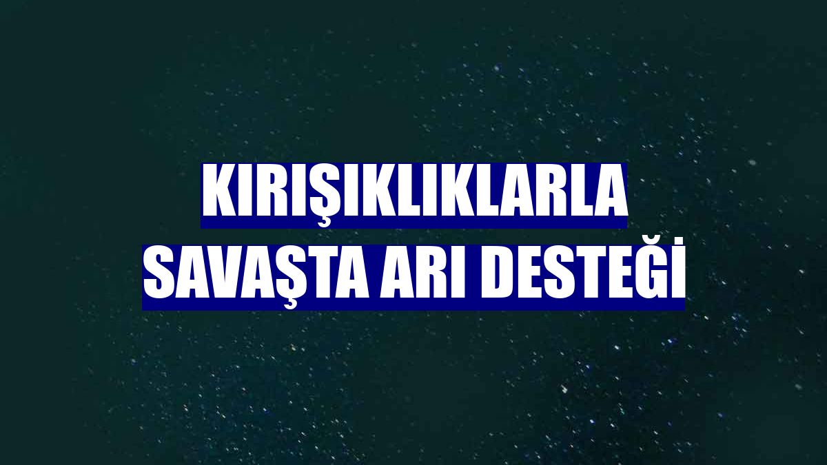 Kırışıklıklarla savaşta arı desteği