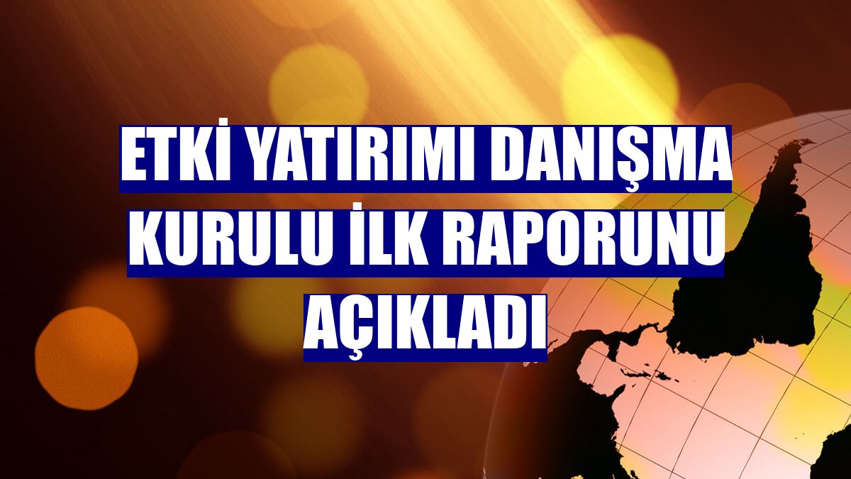 Etki Yatırımı Danışma Kurulu ilk raporunu açıkladı