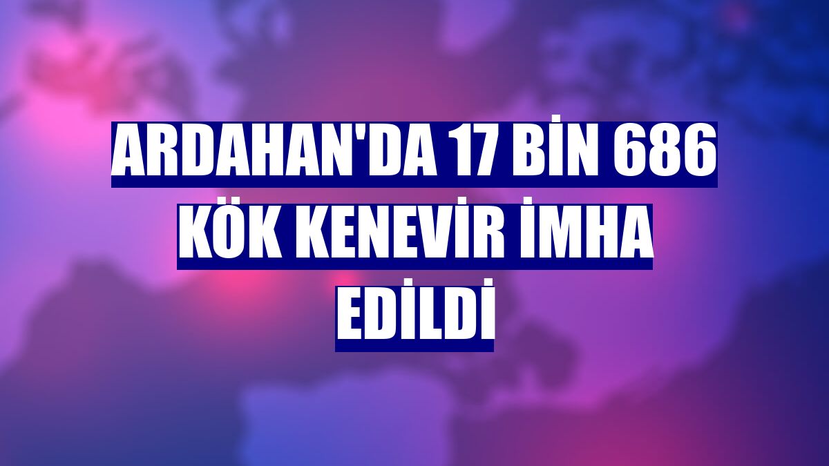 Ardahan'da 17 bin 686 kök kenevir imha edildi