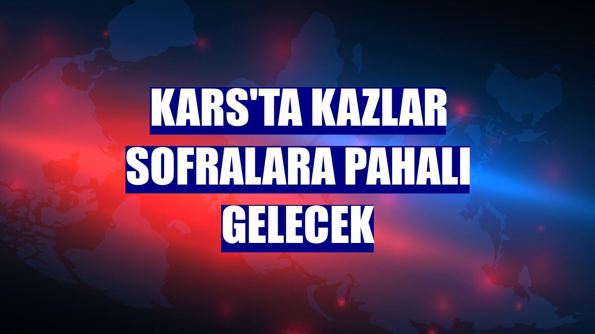 Kars'ta kazlar sofralara pahalı gelecek