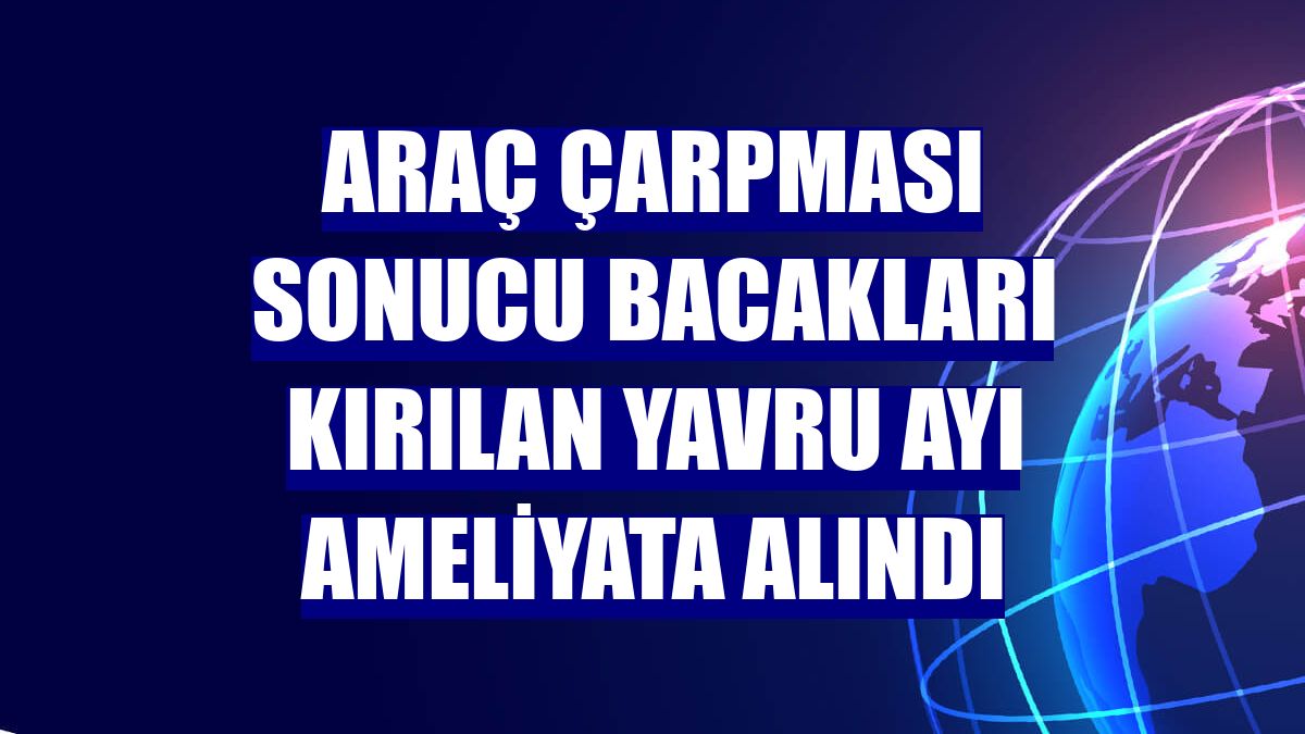 Araç çarpması sonucu bacakları kırılan yavru ayı ameliyata alındı