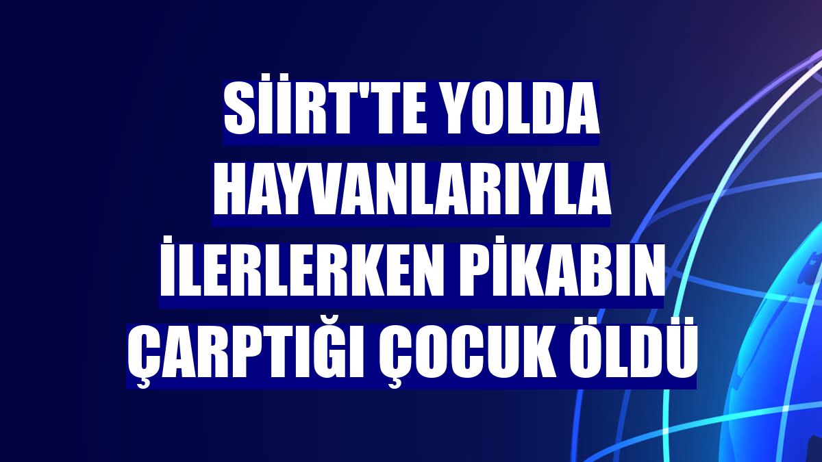 Siirt'te yolda hayvanlarıyla ilerlerken pikabın çarptığı çocuk öldü