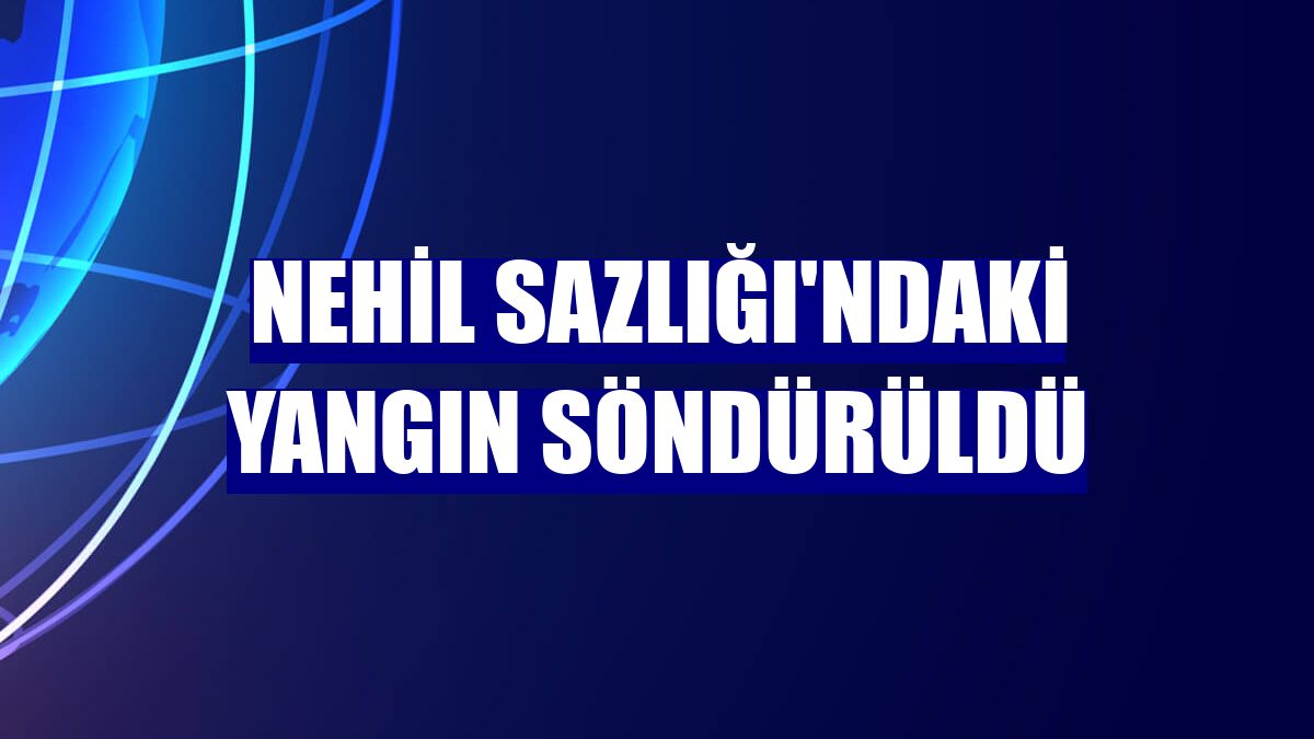 Nehil Sazlığı'ndaki yangın söndürüldü