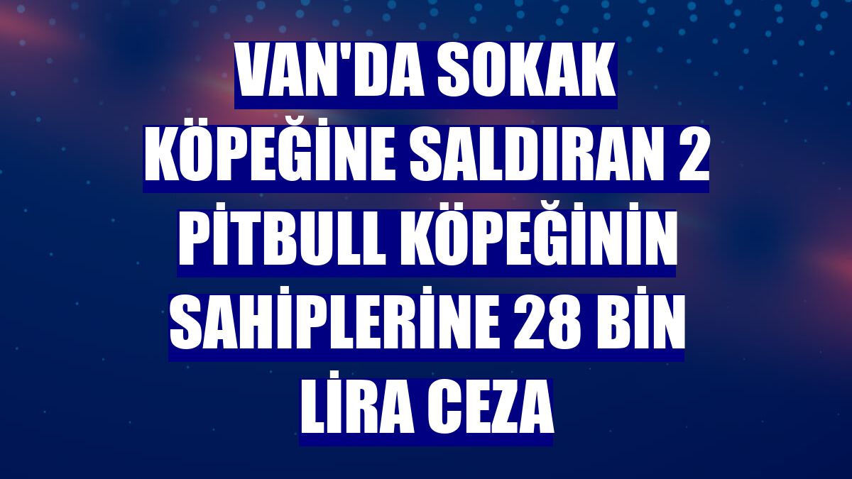 Van'da sokak köpeğine saldıran 2 pitbull köpeğinin sahiplerine 28 bin lira ceza