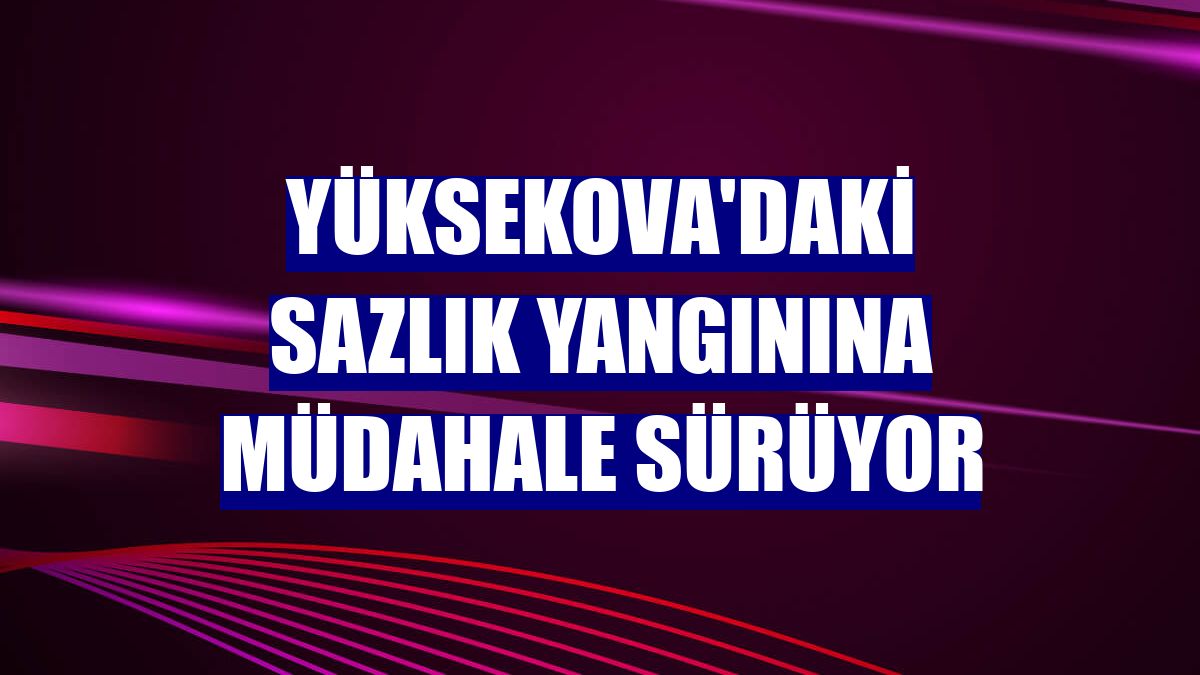 Yüksekova'daki sazlık yangınına müdahale sürüyor