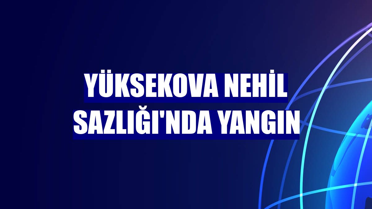 Yüksekova Nehil Sazlığı'nda yangın