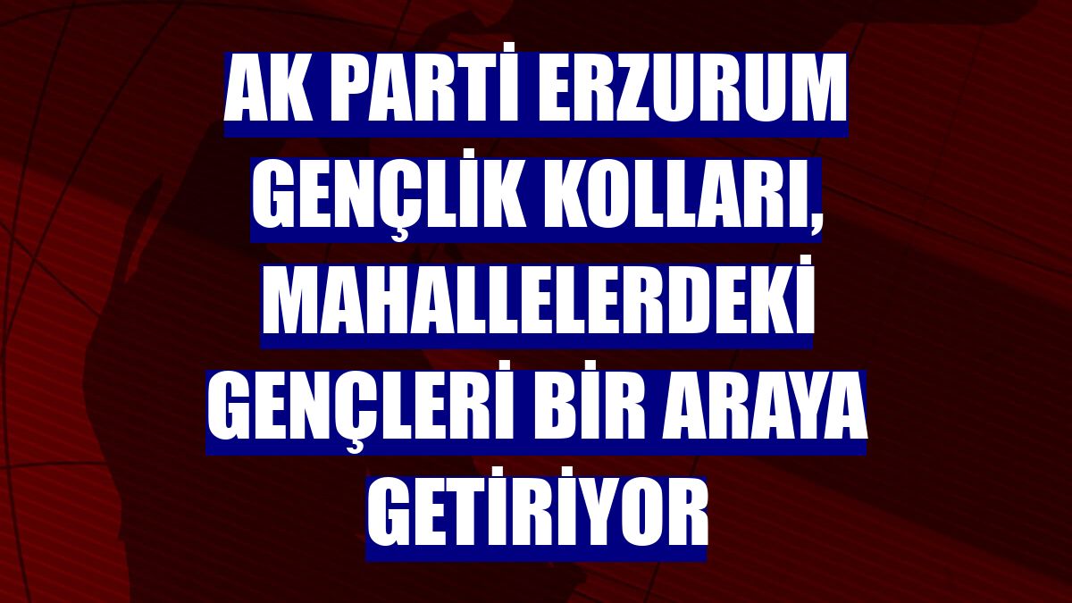 AK Parti Erzurum Gençlik Kolları, mahallelerdeki gençleri bir araya getiriyor