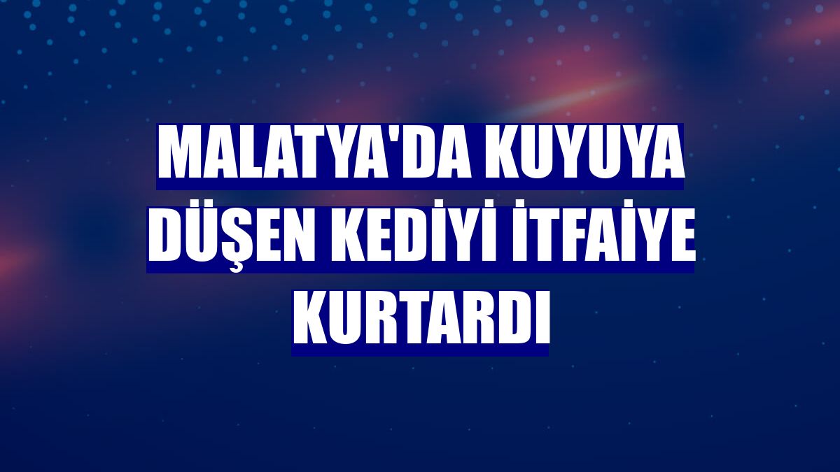 Malatya'da kuyuya düşen kediyi itfaiye kurtardı