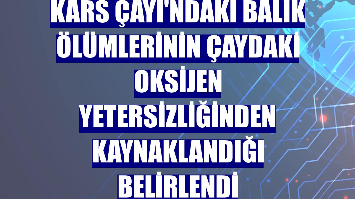 Kars Çayı'ndaki balık ölümlerinin çaydaki oksijen yetersizliğinden kaynaklandığı belirlendi