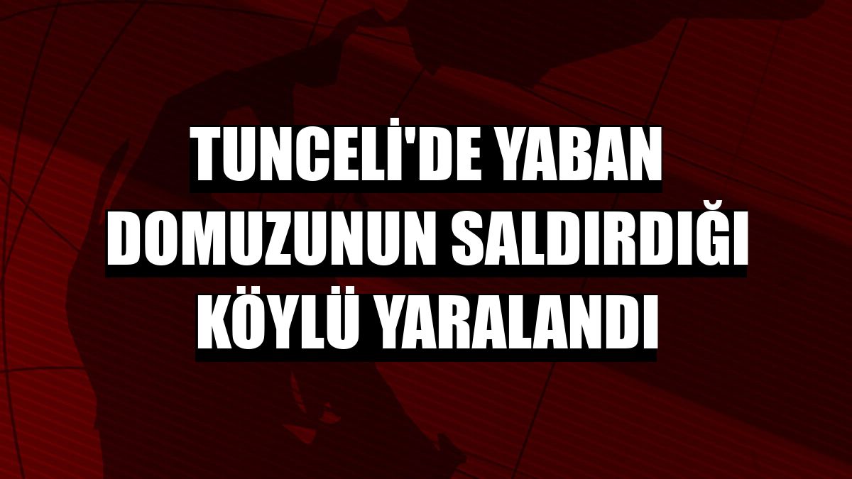 Tunceli'de yaban domuzunun saldırdığı köylü yaralandı