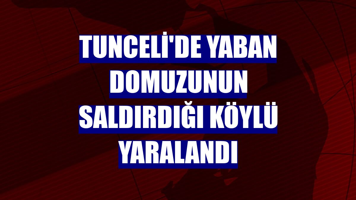Tunceli'de yaban domuzunun saldırdığı köylü yaralandı