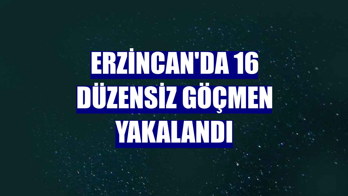 Erzincan'da 16 düzensiz göçmen yakalandı