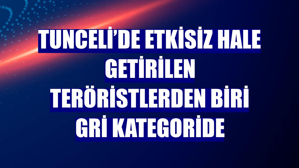Tunceli’de etkisiz hale getirilen teröristlerden biri gri kategoride