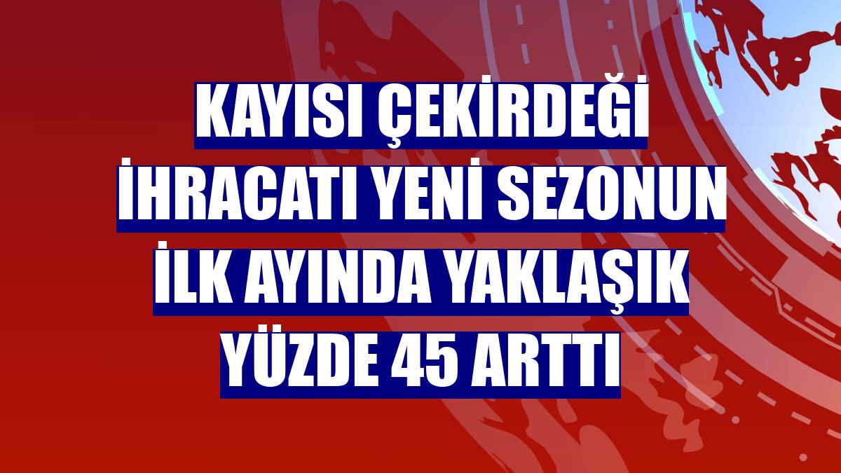 Kayısı çekirdeği ihracatı yeni sezonun ilk ayında yaklaşık yüzde 45 arttı