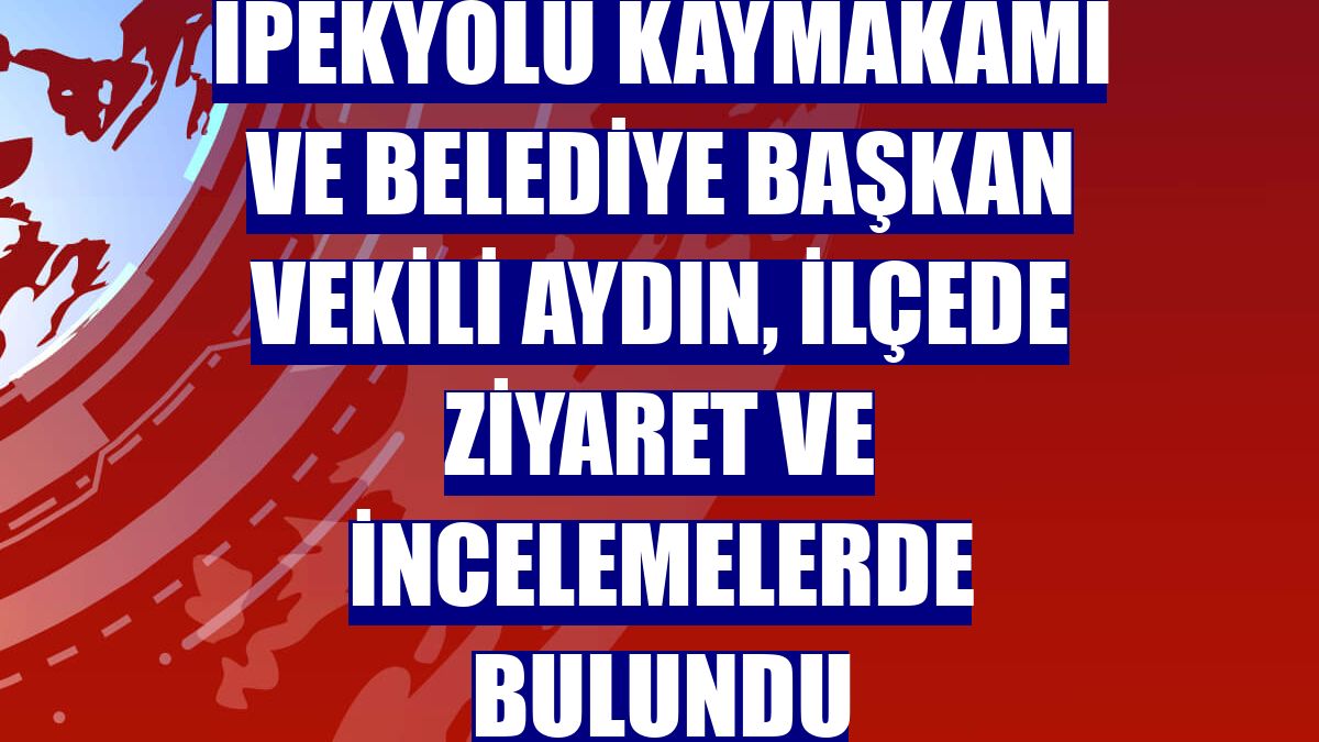 İpekyolu Kaymakamı ve Belediye Başkan Vekili Aydın, ilçede ziyaret ve incelemelerde bulundu