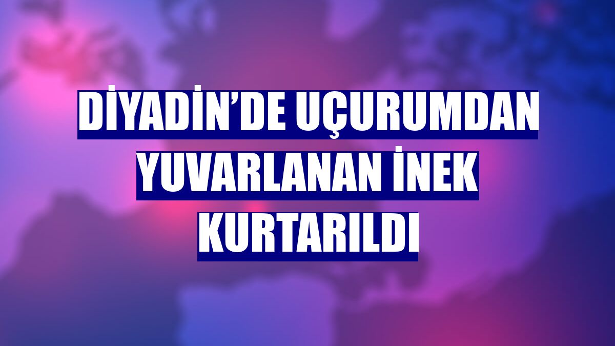 Diyadin’de uçurumdan yuvarlanan inek kurtarıldı