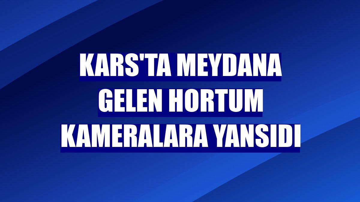 Kars'ta meydana gelen hortum kameralara yansıdı