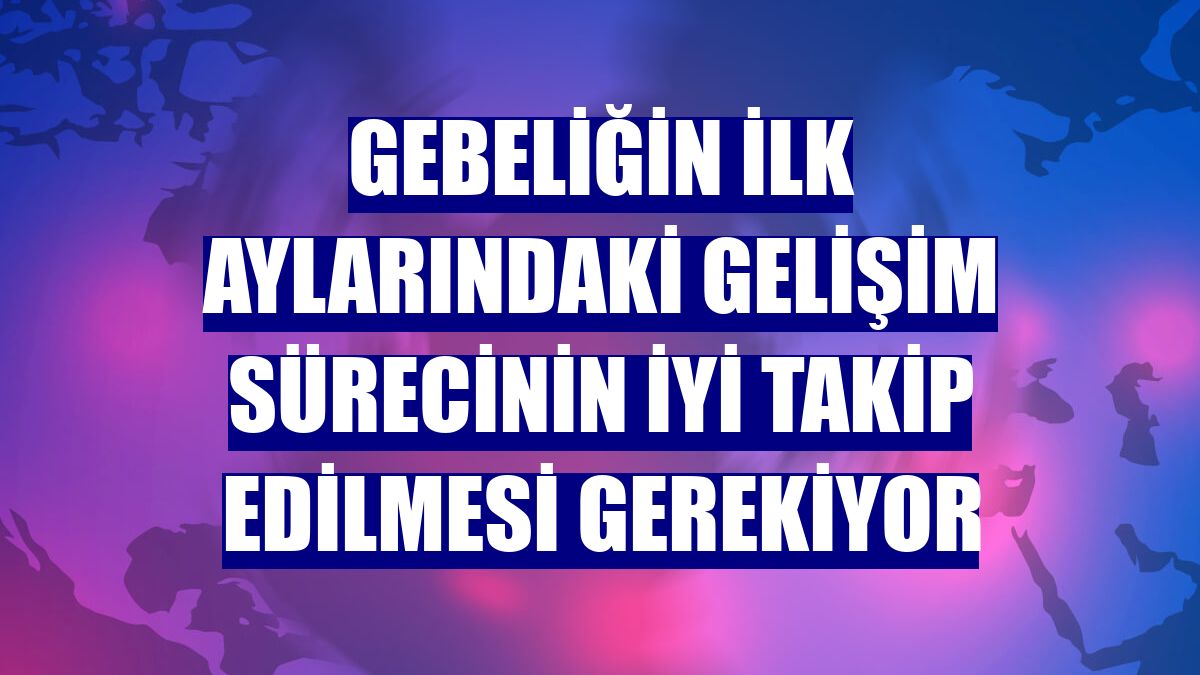 Gebeliğin ilk aylarındaki gelişim sürecinin iyi takip edilmesi gerekiyor