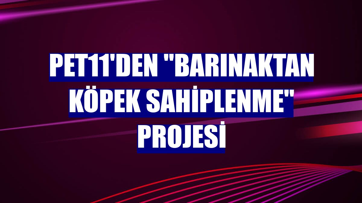 pet11'den "Barınaktan Köpek Sahiplenme" projesi
