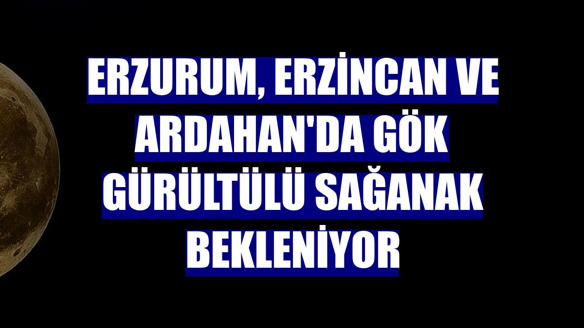 Erzurum, Erzincan ve Ardahan'da gök gürültülü sağanak bekleniyor