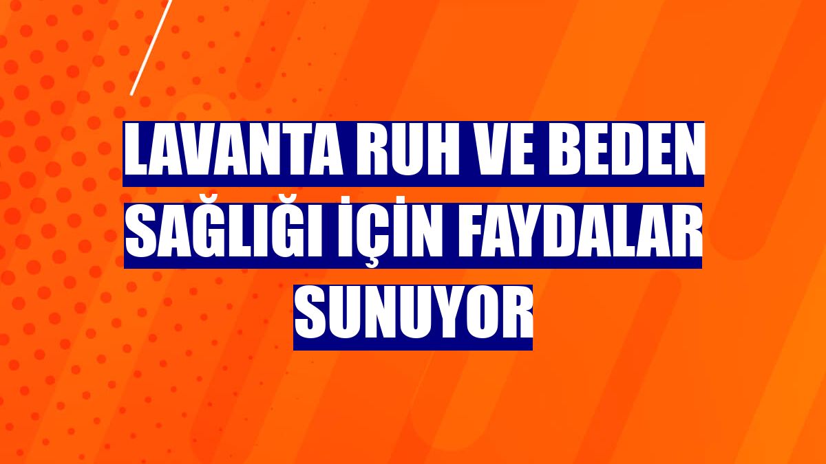 Lavanta ruh ve beden sağlığı için faydalar sunuyor