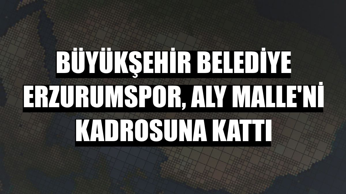 Büyükşehir Belediye Erzurumspor, Aly Malle'ni kadrosuna kattı