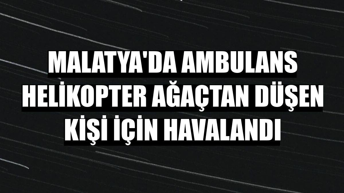 Malatya'da ambulans helikopter ağaçtan düşen kişi için havalandı