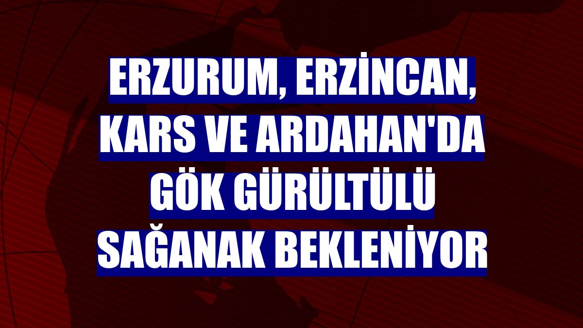 Erzurum, Erzincan, Kars ve Ardahan'da gök gürültülü sağanak bekleniyor