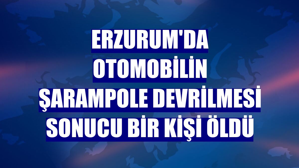 Erzurum'da otomobilin şarampole devrilmesi sonucu bir kişi öldü