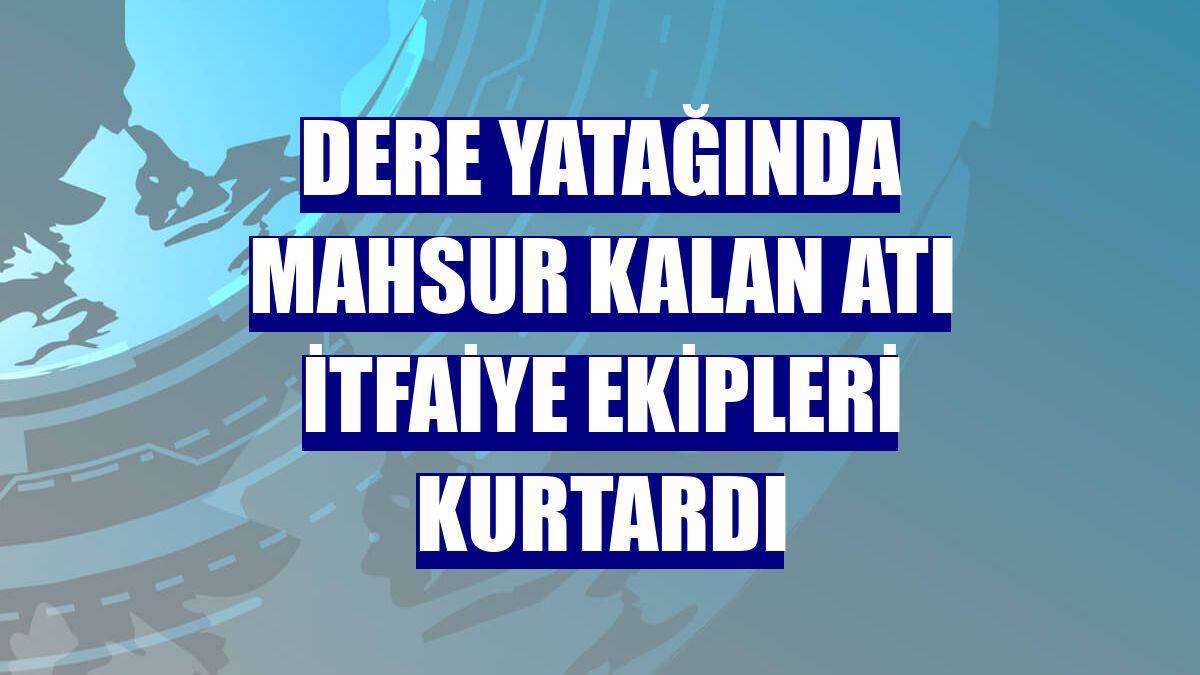 Dere yatağında mahsur kalan atı itfaiye ekipleri kurtardı