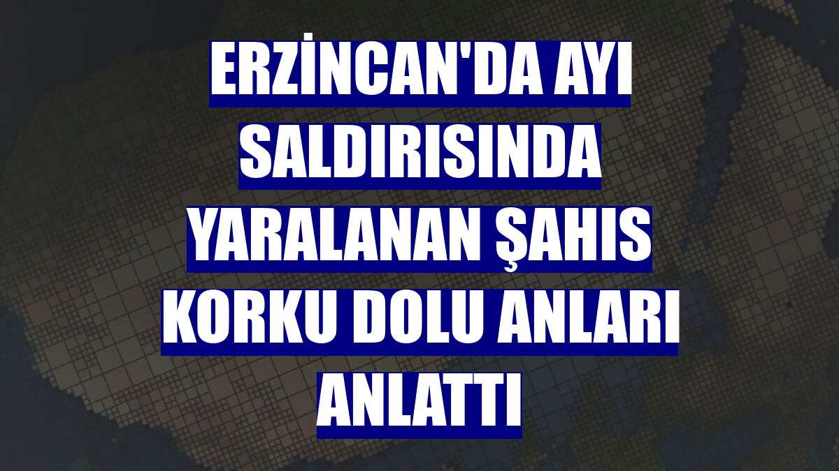 Erzincan'da ayı saldırısında yaralanan şahıs korku dolu anları anlattı