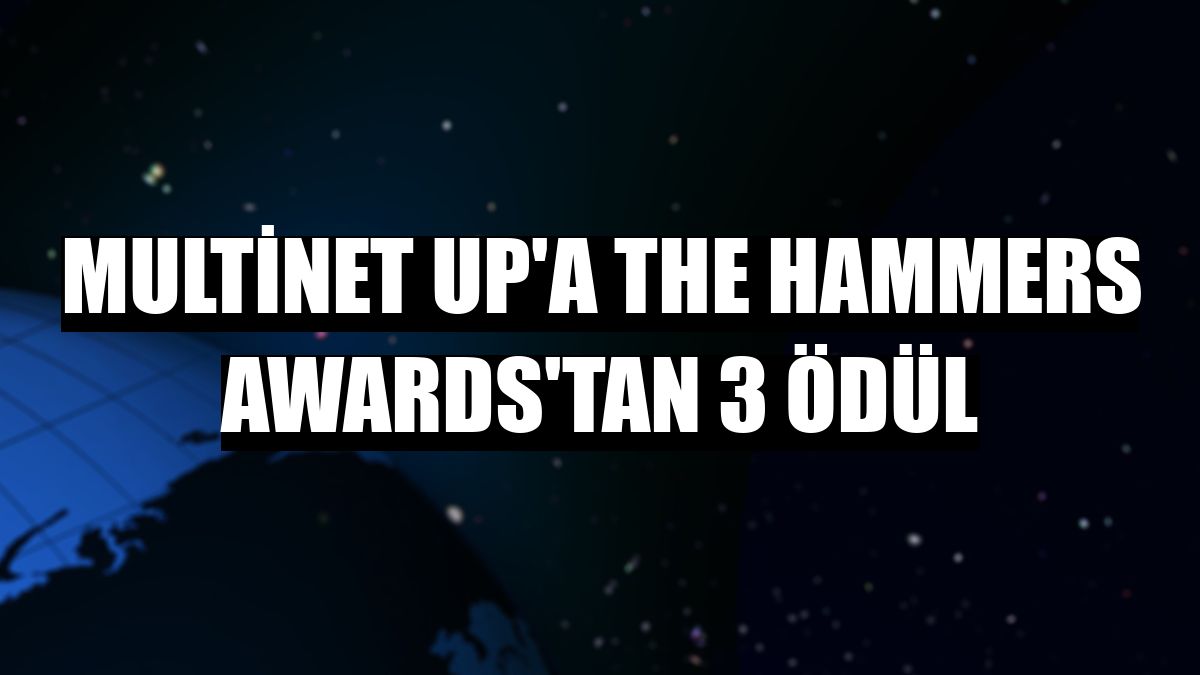 Multinet Up'a The Hammers Awards'tan 3 ödül