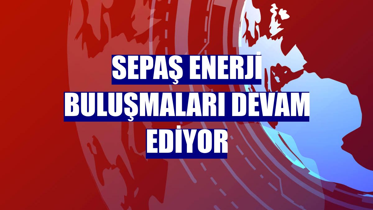 Sepaş Enerji Buluşmaları devam ediyor