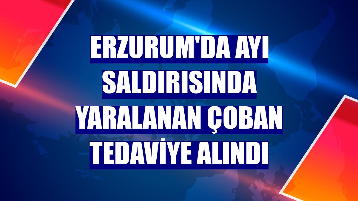 Erzurum'da ayı saldırısında yaralanan çoban tedaviye alındı