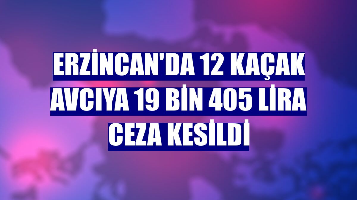 Erzincan'da 12 kaçak avcıya 19 bin 405 lira ceza kesildi