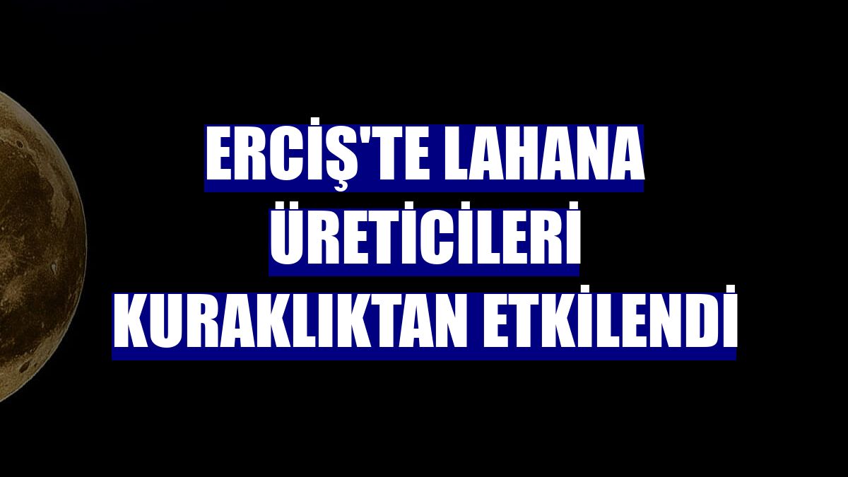 Erciş'te lahana üreticileri kuraklıktan etkilendi