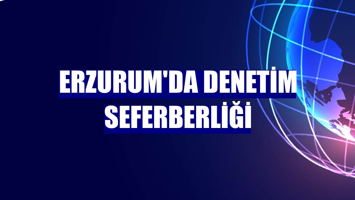 Erzurum'da denetim seferberliği