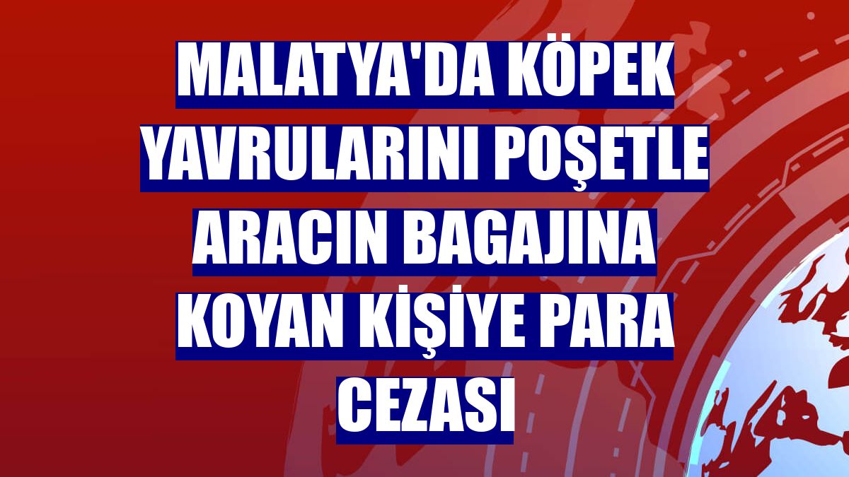 Malatya'da köpek yavrularını poşetle aracın bagajına koyan kişiye para cezası