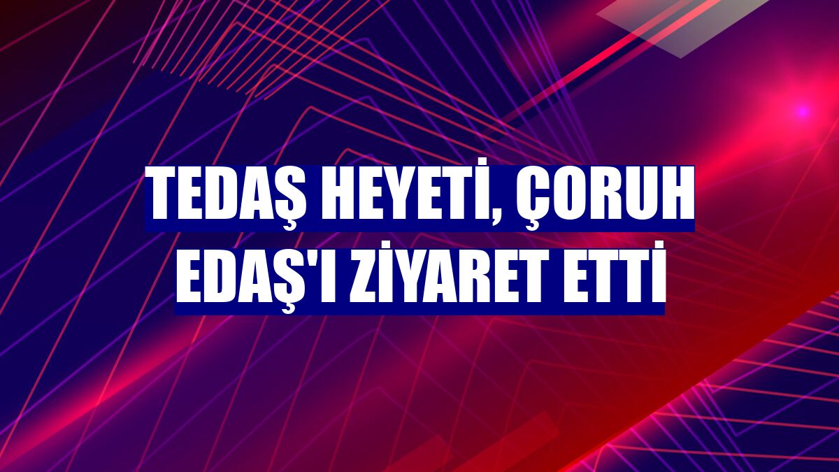 TEDAŞ heyeti, Çoruh EDAŞ'ı ziyaret etti