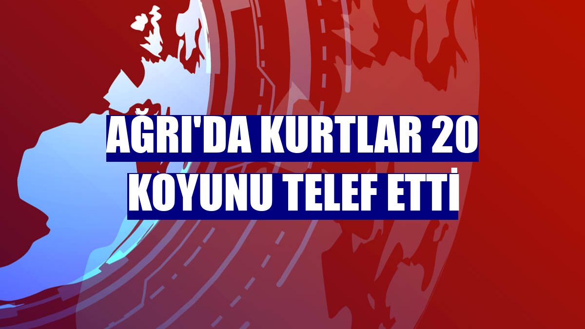 Ağrı'da kurtlar 20 koyunu telef etti