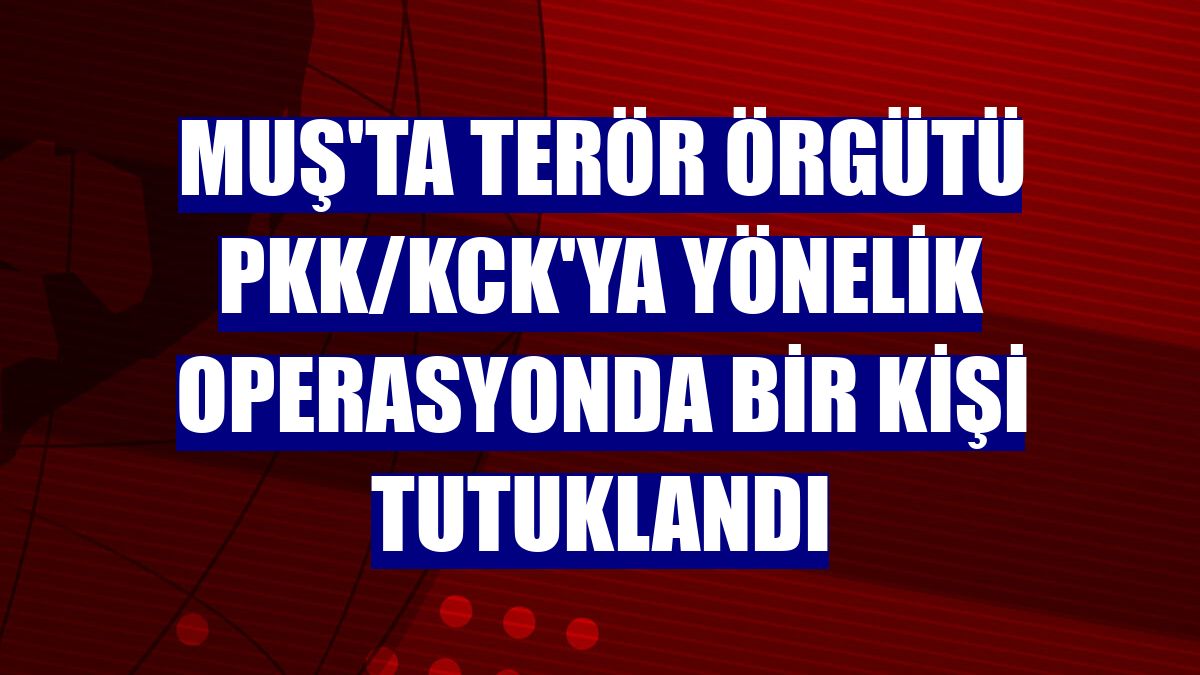 Muş'ta terör örgütü PKK/KCK'ya yönelik operasyonda bir kişi tutuklandı