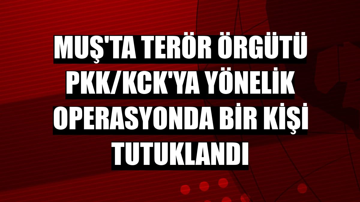 Muş'ta terör örgütü PKK/KCK'ya yönelik operasyonda bir kişi tutuklandı