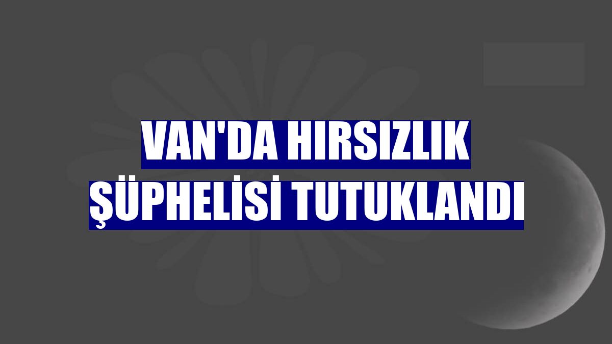 Van'da hırsızlık şüphelisi tutuklandı