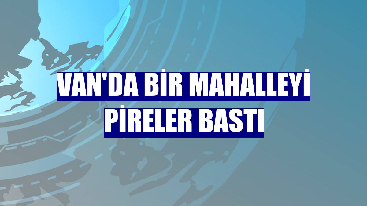 Van'da bir mahalleyi pireler bastı