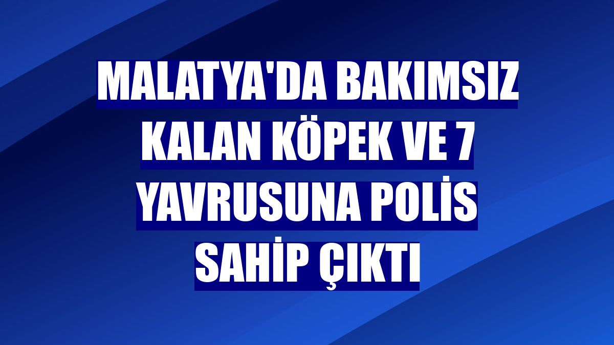 Malatya'da bakımsız kalan köpek ve 7 yavrusuna polis sahip çıktı