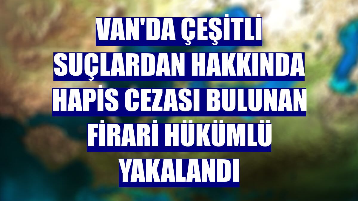 Van'da çeşitli suçlardan hakkında hapis cezası bulunan firari hükümlü yakalandı